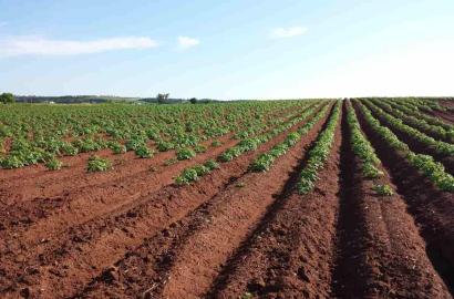 Agricultural Land