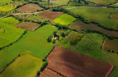 Commercial Plots