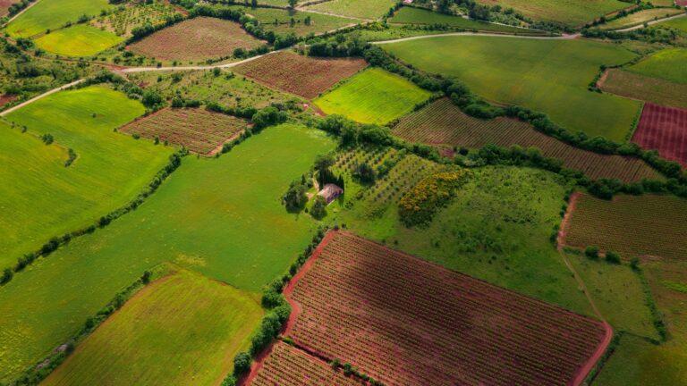 Commercial Plots